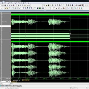 Audio Biological Signals